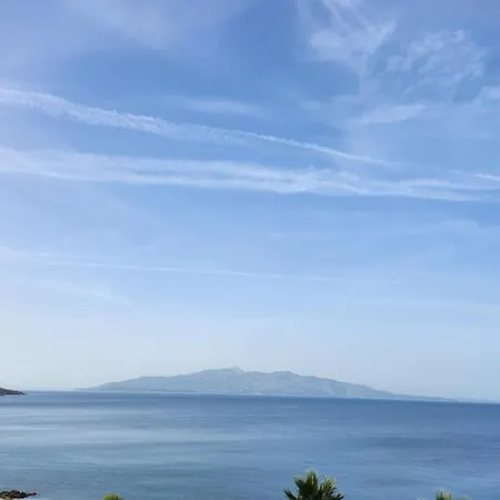 Lila Bella Saranda